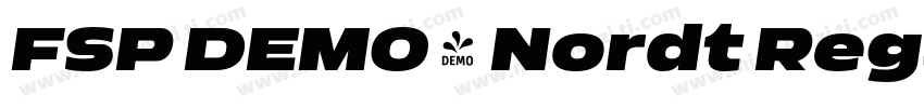 FSP DEMO - Nordt Reg字体转换